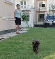 Cleo s Tut Kairoban