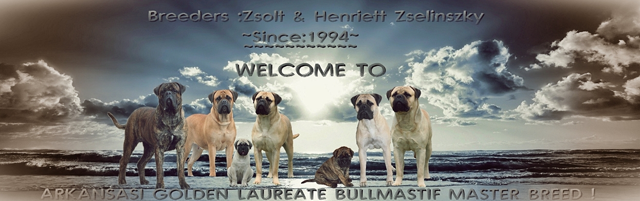 Arkansasi Bullmastiff Kennel